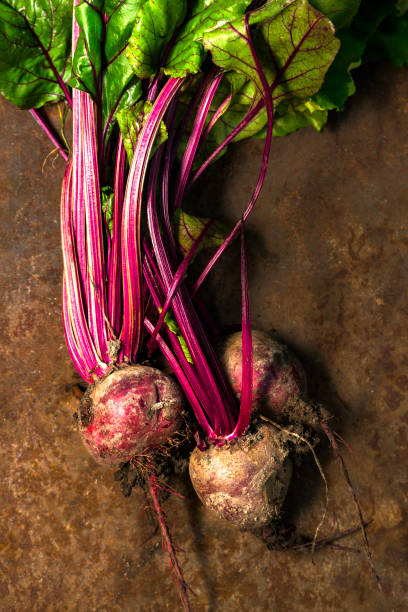 istock Fresh raw red beets collected from the garden on a textured background 1135161933