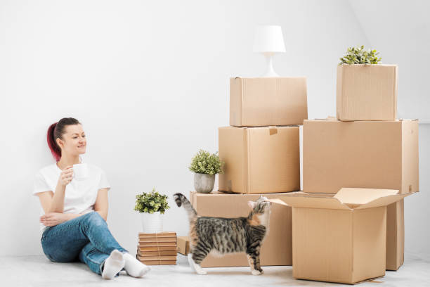 A young beautiful brunette girl in a white T-shirt is sitting on the floor of a bright room and making calls on her smartphone. Around cardboard boxes and a cat. stock photo