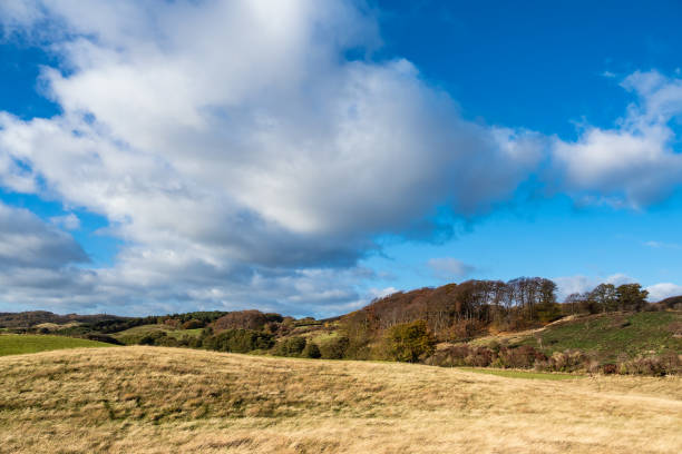 Landscape on the island Moen in Denmark.