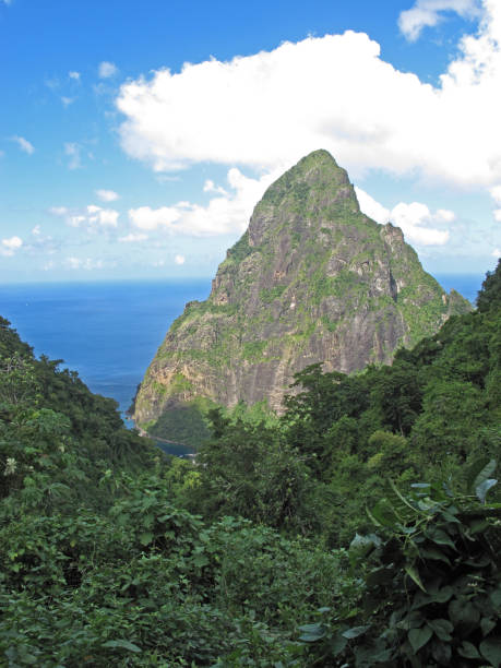 istock Petit Piton, St Lucia, Lesser Antilles 1135164002