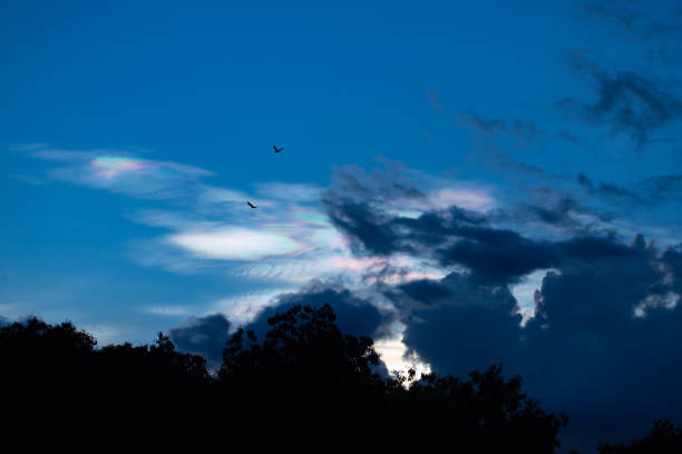 Sky Landscapes.