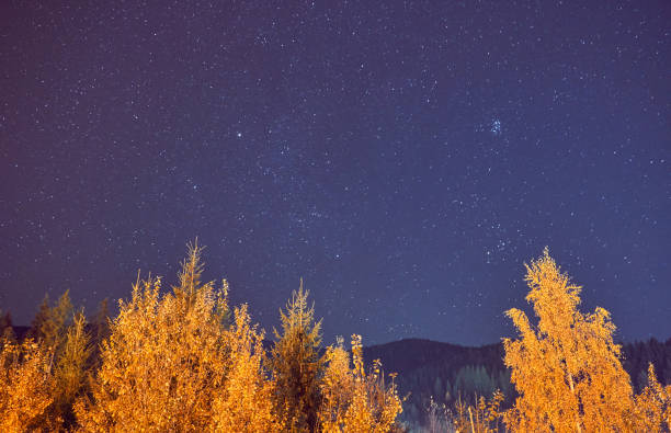 istock Night sky with stars in the mountains 1135166297