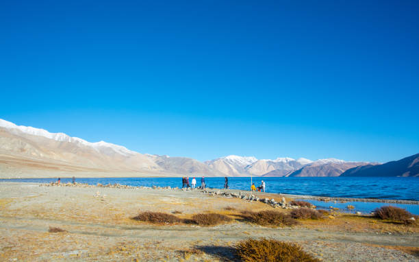 istock Pangong lake, Ladakh, India 1135166604