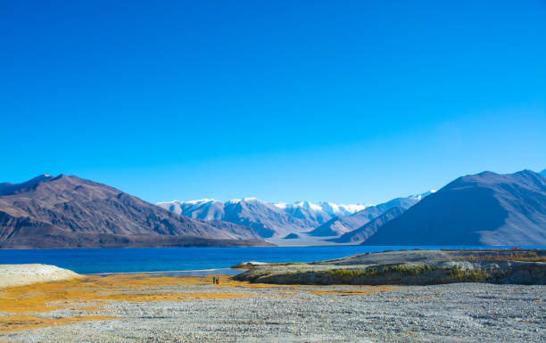 istock Pangong lake, Ladakh, India 1135166809