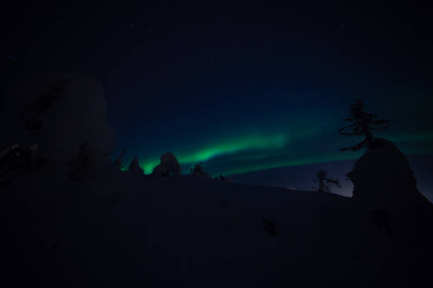 istock Northern lights with heavy snow 1135166884