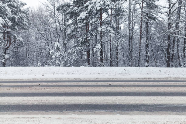 paysage avec une route d'hiver vide - bord de route photos et images de collection