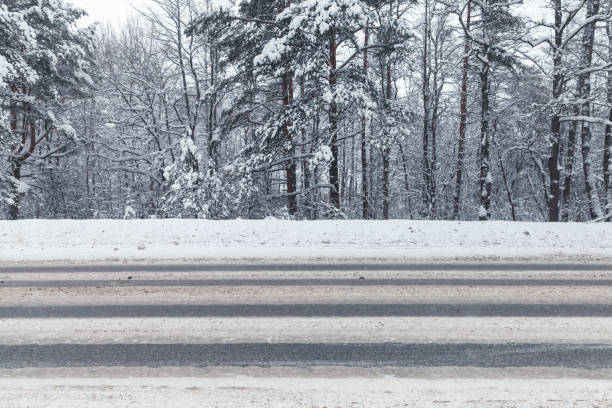 paesaggio con un'autostrada invernale vuota - ciglio della strada foto e immagini stock