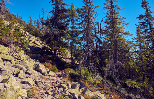 istock The Carpathian Mountains in autumn 1135173926