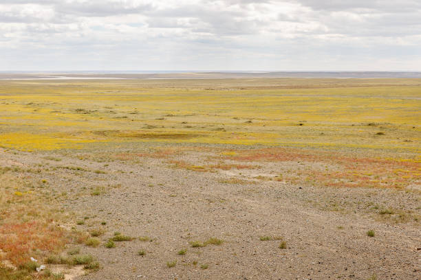 고비 사막에서의 몽골 풍경 - truck desert semi truck orange 뉴스 사진 이미지