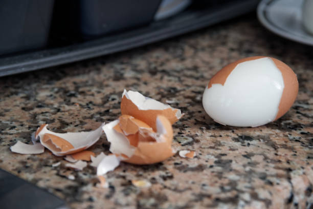 Hard boiled eggs with shell beside on granite board (Selective Focus, Focus on the front of the shell on the first egg). Hard boiled eggs with shell beside on granite board (Selective Focus, Focus on the front of the shell on the first egg) elefant stock pictures, royalty-free photos & images