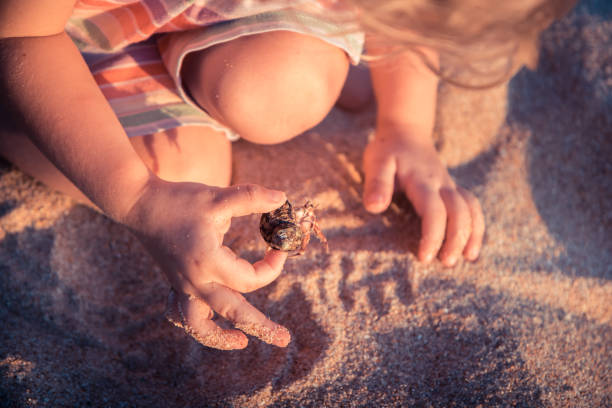 Curious child kid playing on beach with hermit crab during summer vacation concept childhood curiosity lifestyle