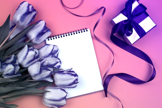 Gift, notebook,  tulips. Blank sheet for text or write. a box with a gift and a bouquet of  tulips. Concept for Valentine's Day or Women's Day or Mother's Day