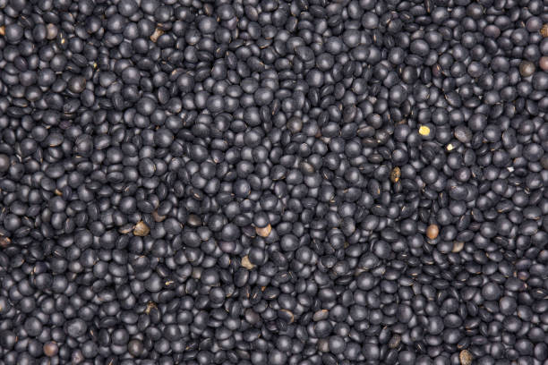 istock Black lentils beluga isolated 1135183710