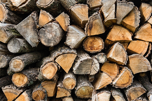 Heap of chopped oak firewood, preparation to winter season, background