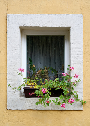 Window of a house in the resort Rathen in the Elbe Sandstone Mountains