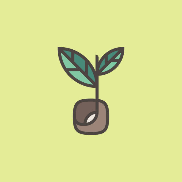 ilustraciones, imágenes clip art, dibujos animados e iconos de stock de brote orgánico fresco. plantilla de marca de logotipo de línea moderna con semilla germinada - semillas