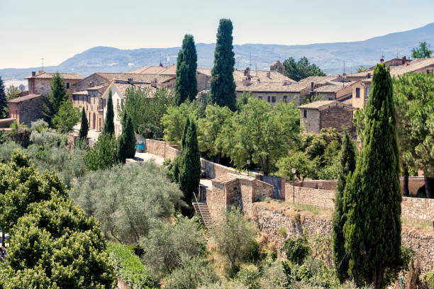 istock San Quirico d'Orcia, Tuscany, Italy 1135189636