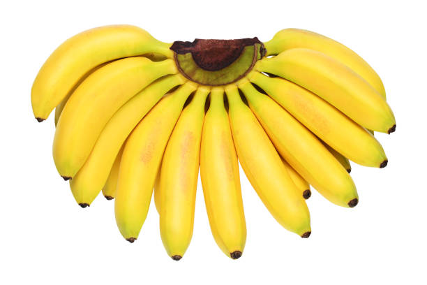 istock Bunch of baby bananas isolated on white background 1135190743