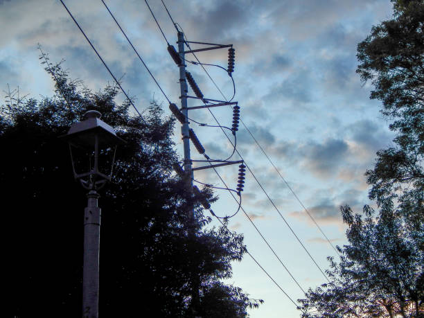 istock Power cords a street lamp and trees in sunset 1135191640