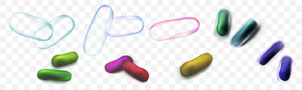 istock et of colored rod-shaped bacteria. Vector illustration on a transparent background 1135196343