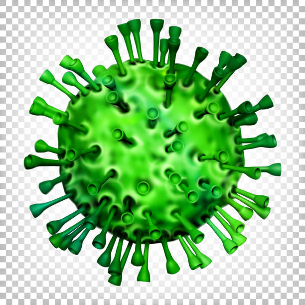 virus grün in transparentem hintergrund - swine flu stock-grafiken, -clipart, -cartoons und -symbole
