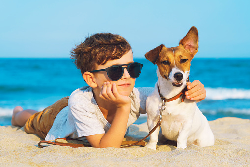 Happy 9 year old boy hugging his dog breed Jack Russell at the seashore against a blue sky close up at sunset. Best friends rest and have fun on vacation, play in the sand against the sea
