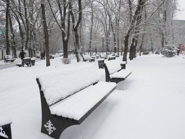 BENCH IN SNOW ON CITY PARK stock photo