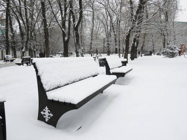 BENCH IN SNOW ON CITY PARK stock photo