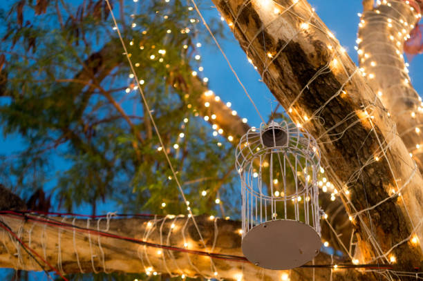 Trees covered with string lights and whilte cages for event decoration. Innovative event decor like this is very popular at festivals, weddings, engagements and events. Decor and event management firms are now innovating this