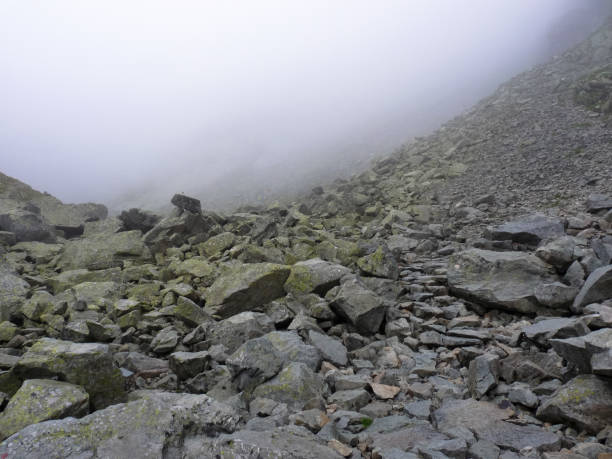 istock Mountain trail in High Tatras mountains, Slovakia 1135211381