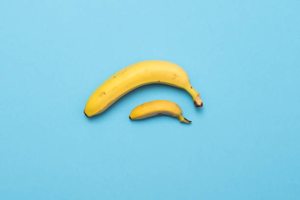 a banana pequena compara o tamanho com a banana no fundo azul. conceito do pénis do tamanho - curto comprimento - fotografias e filmes do acervo