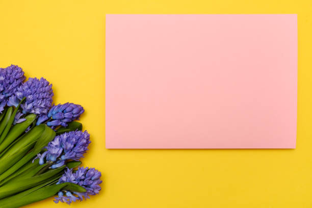 istock Blue hyacinth flowers as present card on a colored background with copyspace. 1135213717