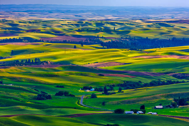 istock The Palouse farm area in Washington State 1135214816