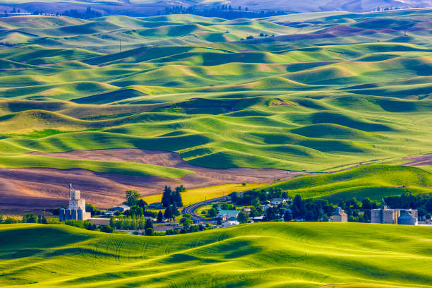 istock The Palouse farm area in Washington State 1135215147