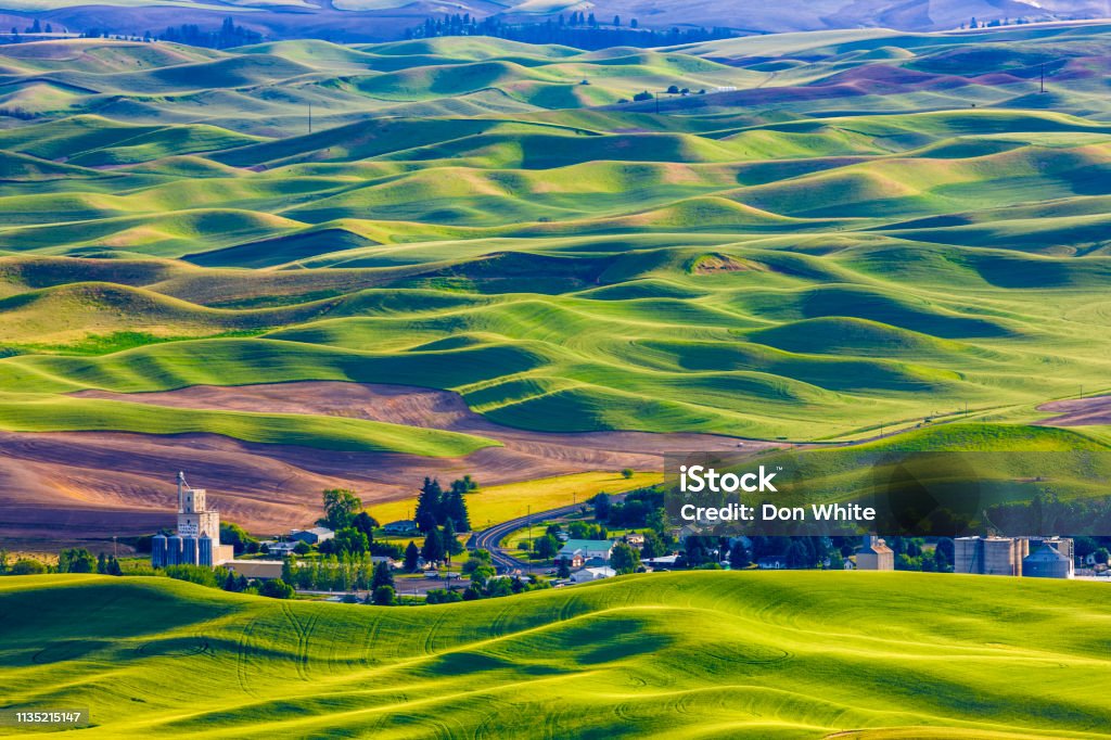 The Palouse farm area in Washington State Rolling farm landscape with cultivated crops in the Palouse region of Washington State Palouse Stock Photo