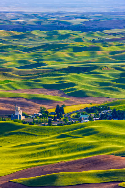 istock The Palouse farm area in Washington State 1135215452