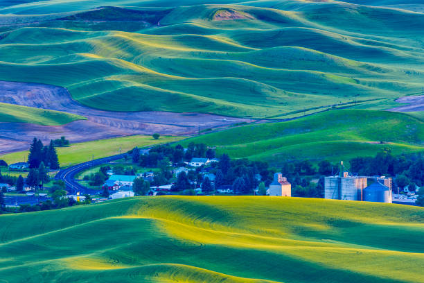 istock The Palouse farm area in Washington State 1135216176