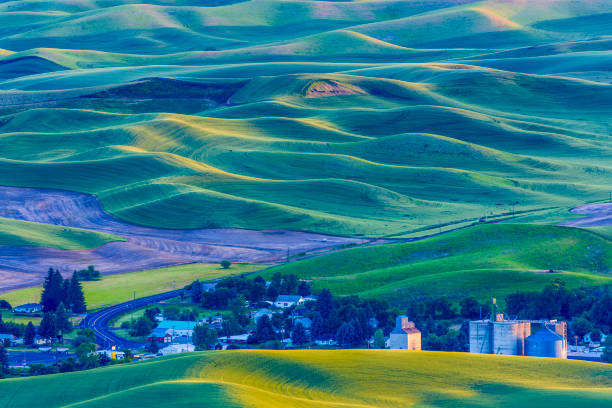 istock The Palouse farm area in Washington State 1135216326