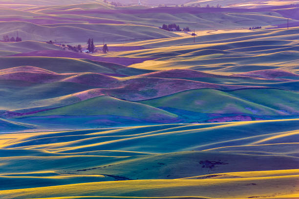 istock The Palouse farm area in Washington State 1135216451