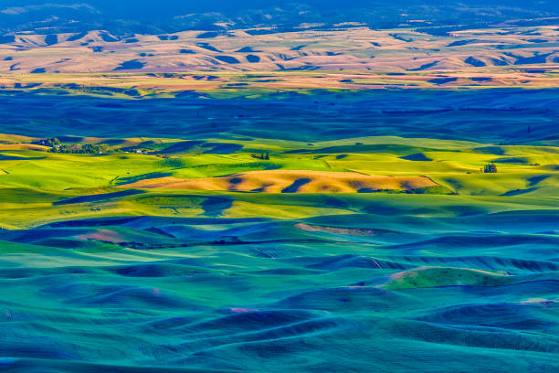 istock The Palouse farm area in Washington State 1135216603