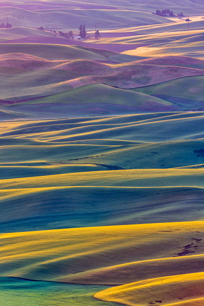 The Palouse farm area in Washington State
