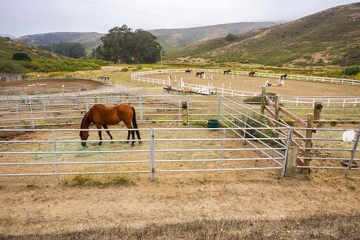 Mill Valley, CA / USA, August 6, 2016 - Riding lessons at Miwok Livery Stables in the Marin Headlands