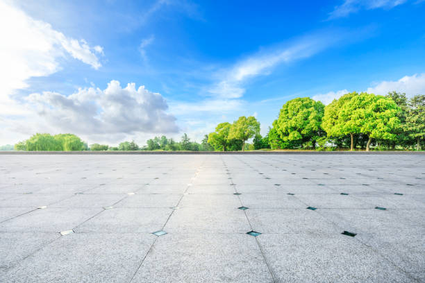 istock Empty square floor and green woods in nature park 1135219161
