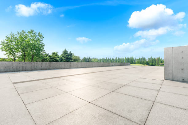 istock Empty square floor and green woods in nature park 1135219879