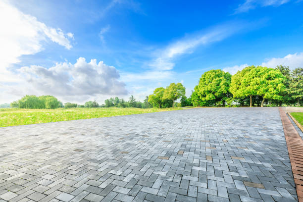 istock Empty square floor and green woods in nature park 1135219880