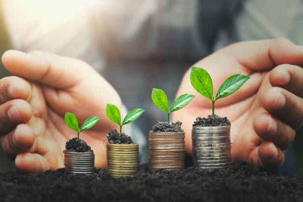 istock hand protect money stack with plant growing on coins. concept finance 1135220052