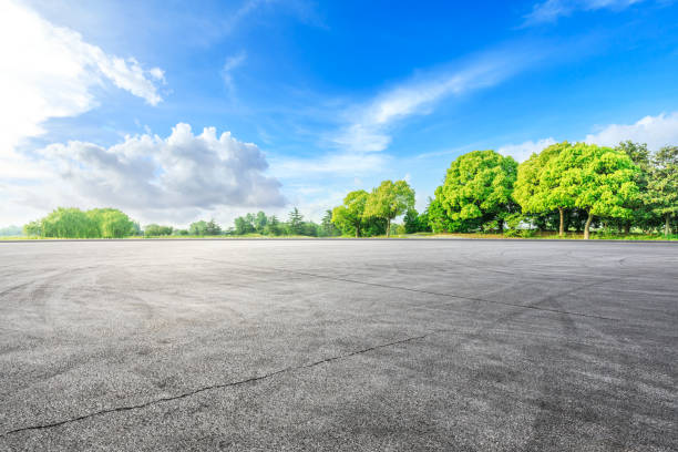 асфальтовая трасса и зеленые леса в загородном природном парке - car street horizon over land sky стоковые фото и изображения