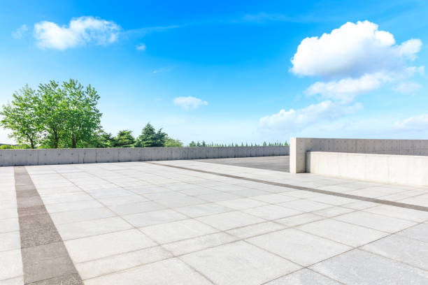 istock Empty square floor and green woods in nature park 1135222605