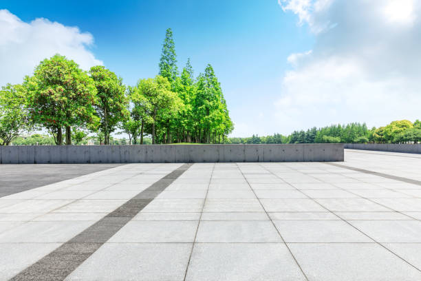 istock Empty square floor and green woods in nature park 1135222766