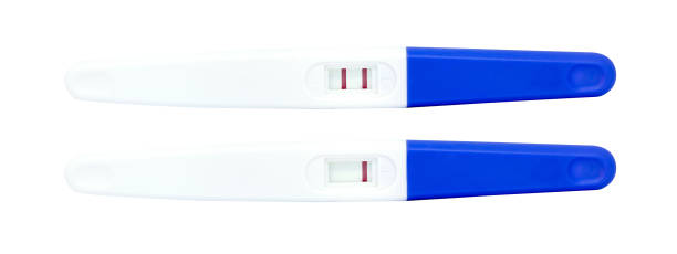 白い背景に隔離された妊娠検査 - pregnancy test human pregnancy two objects isolated ストックフォトと画像